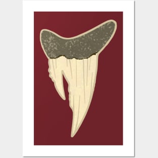 Monster Tooth Posters and Art